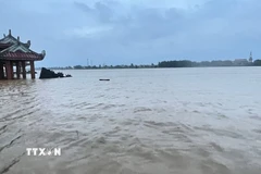 Lũ trên các sông ở Quảng Trị đang lên nhanh. (Ảnh: Thanh Thủy/TTXVN)