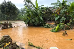 Nước lũ ở xã Xuân Giang (Tuyên Quang) dâng cao, cuốn theo nhiều cây cối và vật dụng. (Ảnh: Minh Tâm/TTXVN)