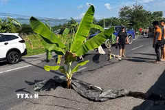 Một đoạn đường bị nứt sau động đất tại tỉnh Nam Cotabato, Philippines ngày 8/6/2026. (Ảnh: THX/TTXVN)