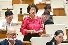 Đại biểu Quốc hội tỉnh Vĩnh Long Nguyễn Thị Lệ Thủy phát biểu. (Ảnh: Doãn Tấn/TTXVN)