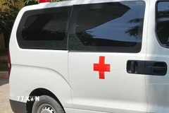 (Ảnh minh họa: TTXVN phát)