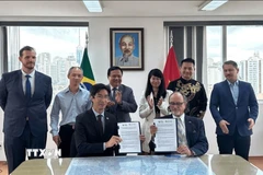 Lễ ký kết Biên bản ghi nhớ (MOU) giữa Phòng Thương mại Brazil-Việt Nam (BVC) và Phòng Thương mại và Công nghiệp Brazil-Việt Nam bang Espírito Santo (CCBV-ES) tại Sao Paulo ngày 7/2. (Ảnh: Đại sứ quán cung cấp)
