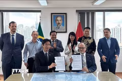 Lễ ký kết Biên bản ghi nhớ (MOU) giữa Phòng Thương mại Brazil-Việt Nam (BVC) và Phòng Thương mại và Công nghiệp Brazil-Việt Nam bang Espírito Santo (CCBV-ES) tại Sao Paulo ngày 7/2. (Ảnh: Đại sứ quán cung cấp)