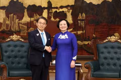 Phó Thủ tướng Phạm Thị Thanh Trà tiếp Thống đốc tỉnh Aichi (Nhật Bản) Omura Hideaki. (Ảnh: Lâm Khánh/TTXVN)