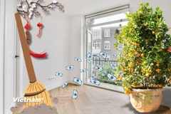 Dân gian quan niệm rằng quét nhà ngày đầu năm sẽ làm mất tài lộc.