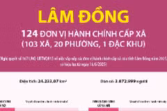 Thông tin chi tiết sắp xếp các đơn vị hành chính cấp xã của tỉnh Lâm Đồng