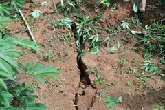 Vết nứt khu vực đồi đất thôn Róok Mẹt kéo dài 200m. (Ảnh: TTXVN phát)