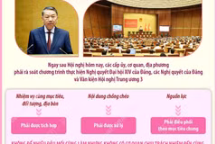 Tổng Bí thư, Chủ tịch nước Tô Lâm: Khẩn trương cụ thể hóa đồng bộ các quyết sách thành chương trình, kế hoạch hành động