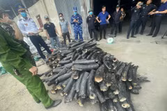 Ngà voi tang vật được lực lượng chức năng thu giữ tại cảng quốc tế Lạch Huyện (Hải Phòng). (Ảnh: TTXVN phát)