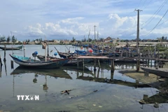 Hàng loạt tàu thuyền của ngư dân phường Thuận An, Huế đã vào bờ neo đậu. (Ảnh: TTXVN phát)