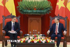 Tổng Bí thư Tô Lâm tiếp Thủ tướng Tây Ban Nha Pedro Sánchez. (Ảnh: Thống Nhất/TTXVN)