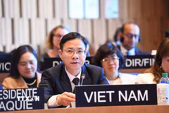 Thứ trưởng Ngoại giao Ngô Lê Văn phát biểu tại Phiên khai mạc Kỳ họp. (Ảnh: TTXVN phát)