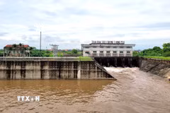 (Ảnh minh họa: TTXVN phát)