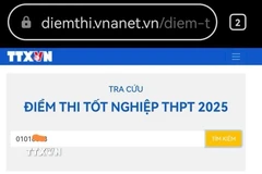 (Ảnh minh họa: Thanh Tùng/TTXVN)