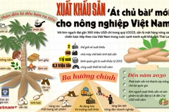 Xuất khẩu sắn - "át chủ bài" mới cho nông nghiệp Việt Nam?