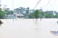 Ứng phó với lũ đặc biệt lớn trên sông Cầu, sông Thương, sông Lục Nam