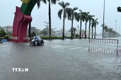 Do ngập nước sâu, nhiều xe máy, ô tô đi vào tuyến đường Phan Chu Trinh, phường Hạc Thành, Thanh Hóa bị chết máy. (Ảnh: Việt Hoàng/TTXVN)