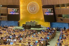 Đại diện Phái đoàn Việt Nam phát biểu tại sự kiện thông qua Công ước Hà Nội chiều 24/12/2024 tại Liên hợp quốc. (Ảnh: TTXVN phát)