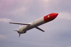 Tên lửa Burevestnik. (Nguồn: The Moscow Times)