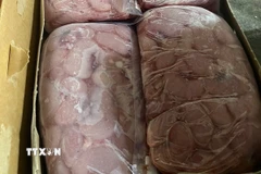 (Ảnh minh họa: TTXVN phát)