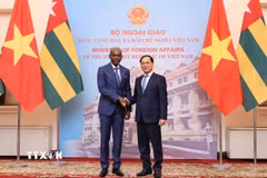 Phó Thủ tướng, Bộ trưởng Ngoại giao Bùi Thanh Sơn đón Bộ trưởng Ngoại giao, Hội nhập khu vực và Kiều dân nước Cộng hòa Togo Robert Dussey. (Anh: An Đăng/TTXVN)