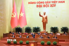 Đại hội biểu quyết thông qua số lượng Ủy viên Ban Chấp hành Trung ương Đảng khóa XIV. (Ảnh: TTXVN)