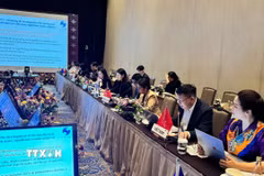 Đoàn Việt Nam tại hội nghị. (Ảnh: Đỗ Quyên/TTXVN)