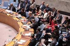 Các nước ủy viên Hội đồng Bảo an thảo luận về vụ Mỹ tấn công và bắt giữ Tổng thống Venezuela. (Ảnh: Thanh Tuấn/TTXVN)