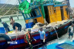 Tàu cá HP-90671-TS được lai dắt vào bờ sửa chữa và 6 ngư dân đều an toàn, sức khỏe ổn định. (Ảnh: TTXVN phát)