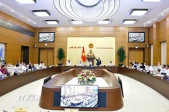 Ủy ban Thường vụ Quốc hội biểu quyết. (Ảnh: Doãn Tấn/TTXVN)