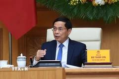Phó Thủ tướng Bùi Thanh Sơn phát biểu tại buổi tiếp các chuyên gia, nhà khoa học. (Ảnh: TTXVN phát)