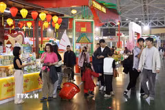 Người dân háo hức mua sắm tại Hội chợ Mùa Xuân lần thứ nhất. (Ảnh: Quốc Khánh/TTXVN)
