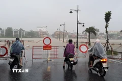 Lũ lên trên báo động 2 gây ngập Đập Đá bờ Nam sông Hương, thành phố Huế. (Ảnh: Nguyên Lý/TTXVN)