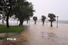 Mùa bão 2026 trên khu vực Biển Đông có khả năng xuất hiện như các năm, vào khoảng tháng Sáu. (Ảnh: Nguyên Lý/TTXVN)