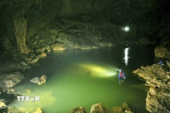 Du khách trải nghiệm hành trình men theo triền sông ngầm hoặc bơi để đi sâu vào bên trong, để chinh phục” Xuyên Sơn Hồ” tại Vườn Quốc gia Phong Nha - Kẻ Bàng. (Ảnh: Minh Đức/TTXVN)