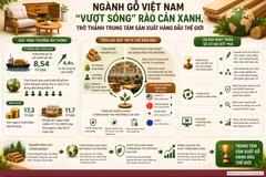Gỗ Việt “vượt sóng” rào cản xanh, trở thành trung tâm sản xuất hàng đầu thế giới