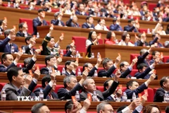 Đại hội biểu quyết thông qua dự thảo điều chỉnh chương trình Đại hội. (Ảnh: TTXVN)