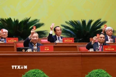Đại hội biểu quyết thông qua dự thảo điều chỉnh chương trình Đại hội. (Ảnh: TTXVN)