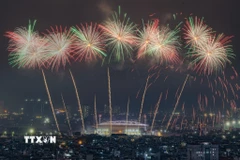 Màn pháo hoa tổng duyệt chào mừng Đại hội đại biểu toàn quốc lần thứ XIV của Đảng. (Ảnh: Lê Đông/TTXVN)