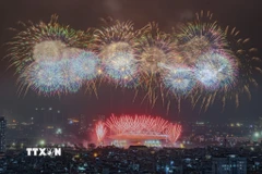 Màn pháo hoa tổng duyệt chào mừng Đại hội đại biểu toàn quốc lần thứ XIV của Đảng. (Ảnh: Lê Đông/TTXVN)