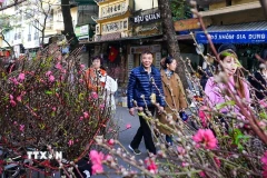 (Ảnh minh họa: Khánh Hòa/TTXVN)