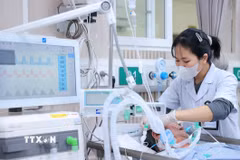 Từ những ngày cận Tết, bệnh viện Bạch Mai bước vào giai đoạn cao điểm với yêu cầu chủ động, sẵn sàng ứng phó. (Ảnh: Minh Quyết/TTXVN)
