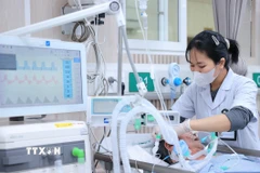 Từ những ngày cận Tết, bệnh viện Bạch Mai bước vào giai đoạn cao điểm với yêu cầu chủ động, sẵn sàng ứng phó. (Ảnh: Minh Quyết/TTXVN)