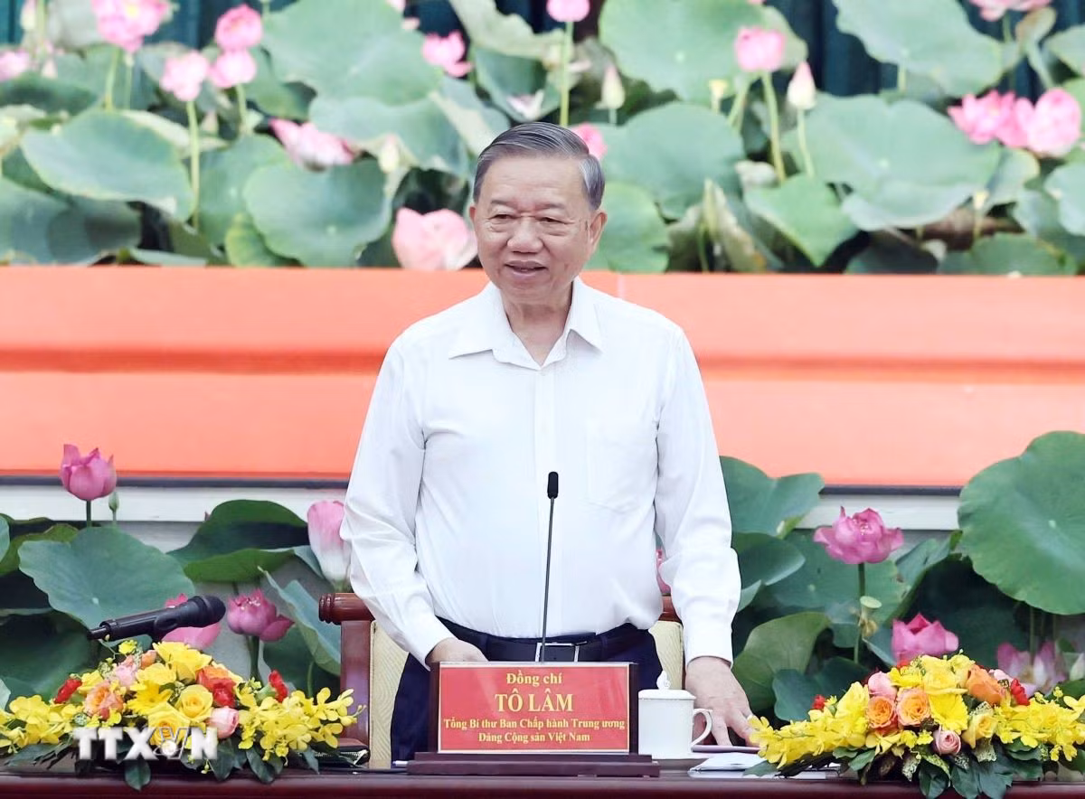 ttxvn-tong-bi-thu-lam-viec-voi-ban-thuong-vu-thanh-uy-tp-ho-chi-minh-tinh-uy-ba-ria-vung-tau-binh-duong-1806-2.jpg