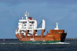 Houthi xác nhận tấn công tàu chở hàng Hà Lan tại Vịnh Aden