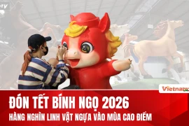 Hàng nghìn linh vật ngựa rực rỡ chuẩn bị xuất hiện trong Tết Nguyên đán 2026