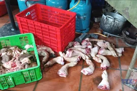 Hưng Yên phát hiện cơ sở giết mổ lợn nhiễm dịch tả lợn châu Phi 