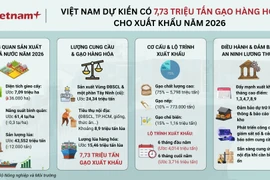 Nguồn cung gạo xuất khẩu năm 2026 dự kiến đạt 7,73 triệu tấn
