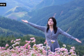 Tam giác mạch vào mùa, Hà Giang -Tuyên Quang trở thành điểm check-in hút khách