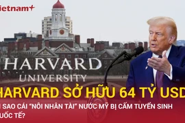Ngôi trường tinh hoa Harvard đối đầu làn sóng “MAGA” của ông Trump